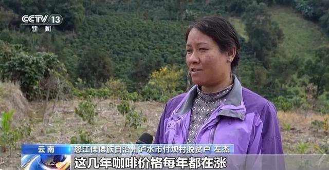 啡何以从“红果”走向“红火”？CQ9电子网站央视关注！云南咖(图6)