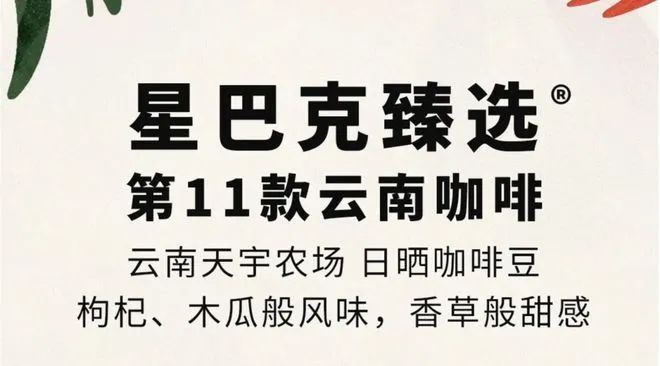 啡：彩云之南的馥郁传奇CQ9电子版入口云南咖(图6)