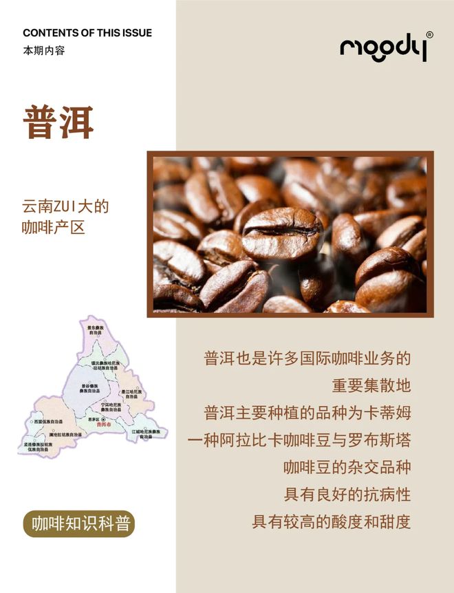 啡：彩云之南的馥郁传奇CQ9电子版入口云南咖(图16)