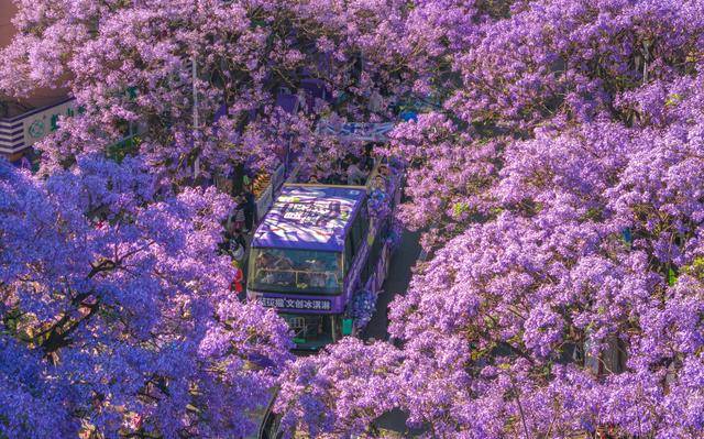 更优服务繁荣文旅市场CQ9电子有限公司以(图15)